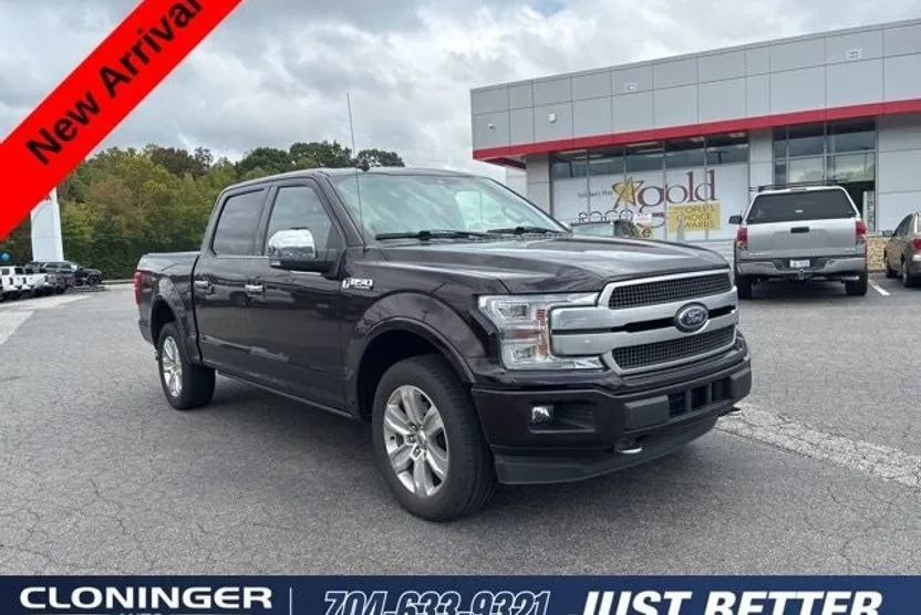 2019 Ford F-150 Platinum photo 1