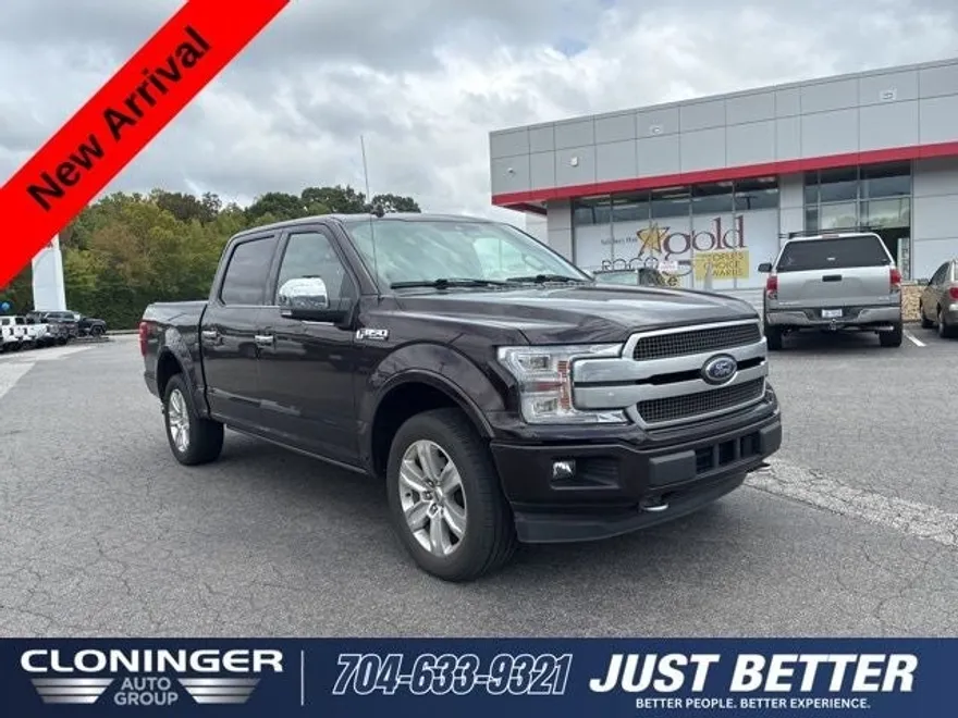 2019 Ford F-150 Platinum photo 1