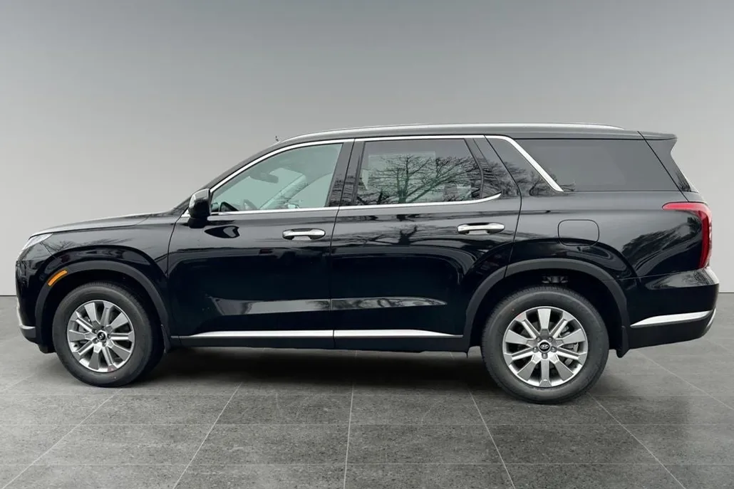 2025 Hyundai Palisade SEL photo 1