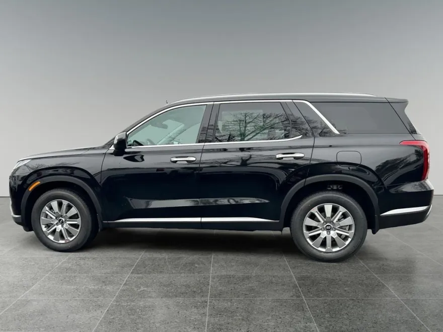 2025 Hyundai Palisade SEL photo 1