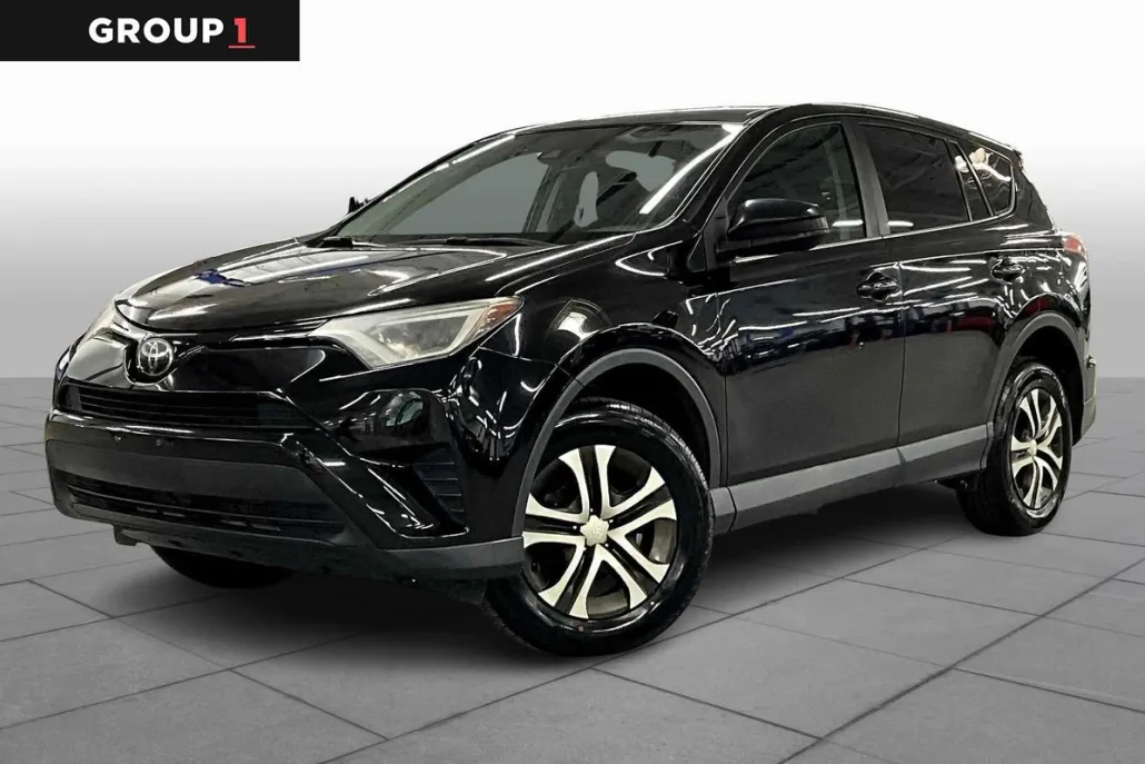 2018 Toyota RAV4 LE photo 1