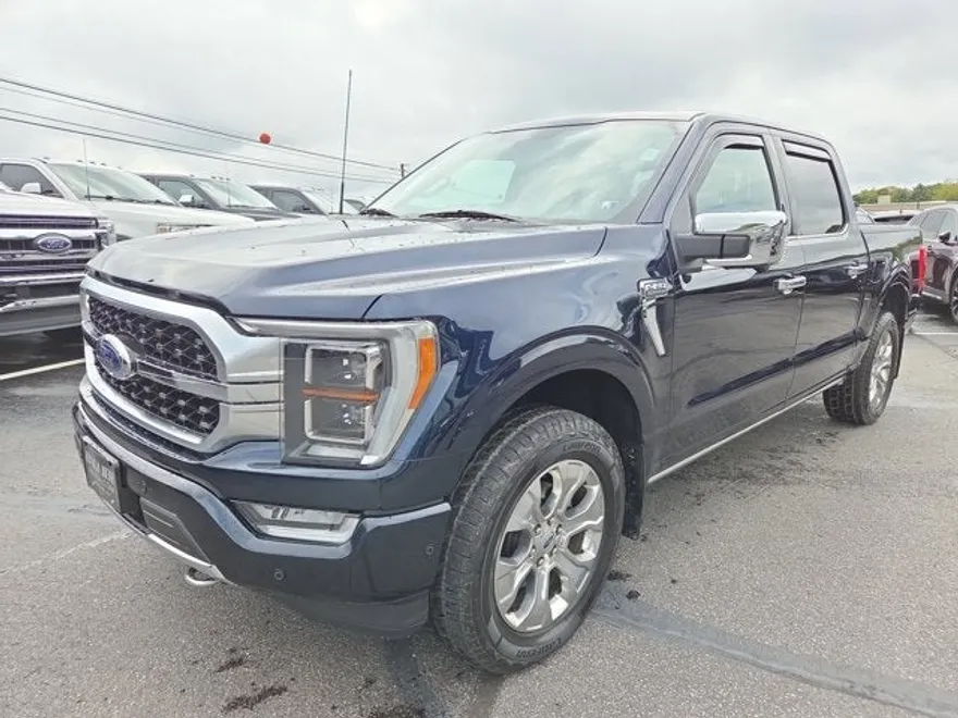 2022 Ford F-150 Platinum photo 1