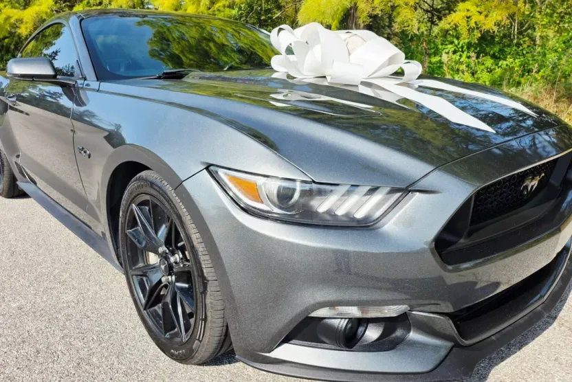 2017 Ford Mustang GT photo 1