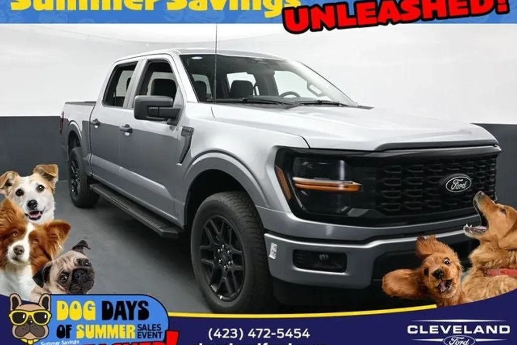 2025 Ford F-150 STX photo 1