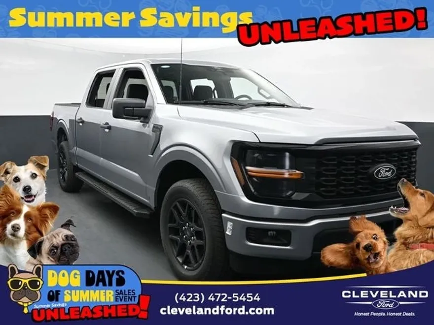 2025 Ford F-150 STX photo 1