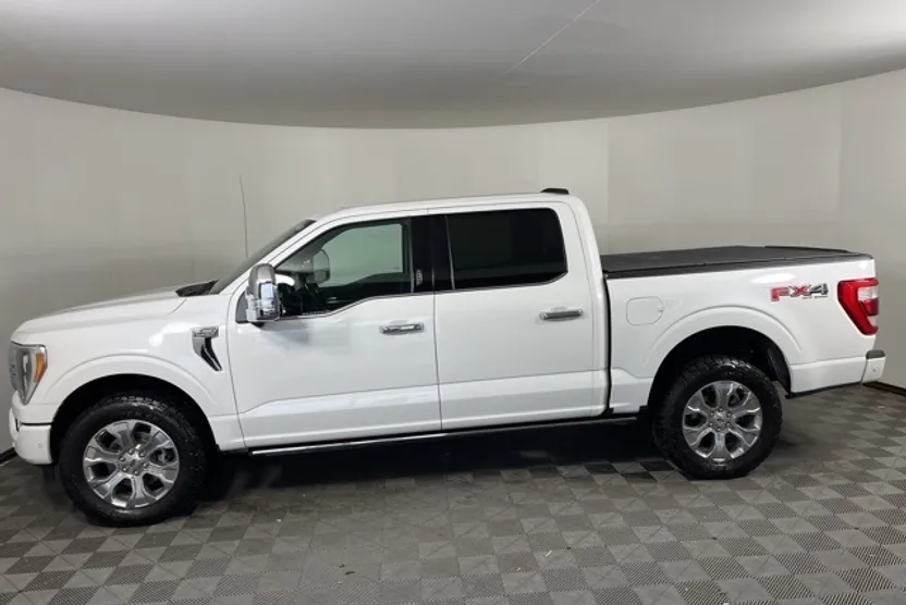 2021 Ford F-150 Platinum photo 1