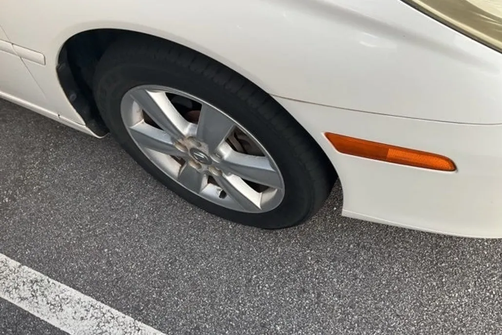 2005 Lexus ES 330 photo 1