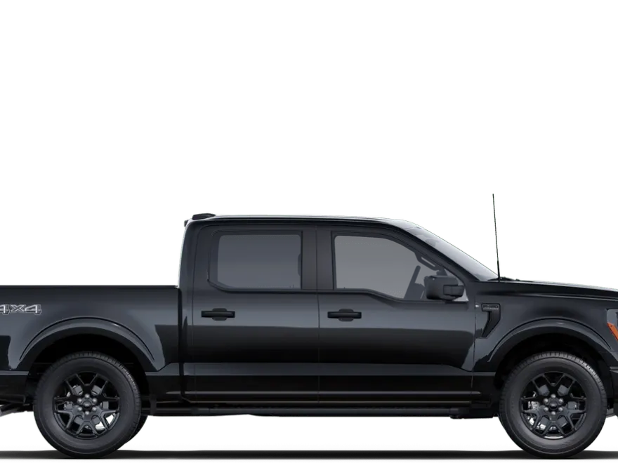 2025 Ford F-150 STX photo 9