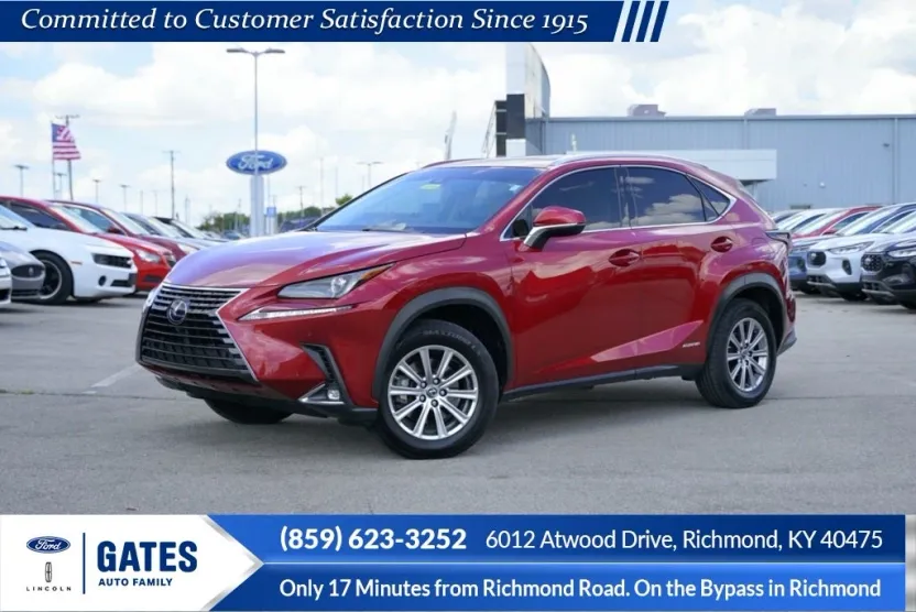 2019 Lexus NX 300h Luxury photo 1
