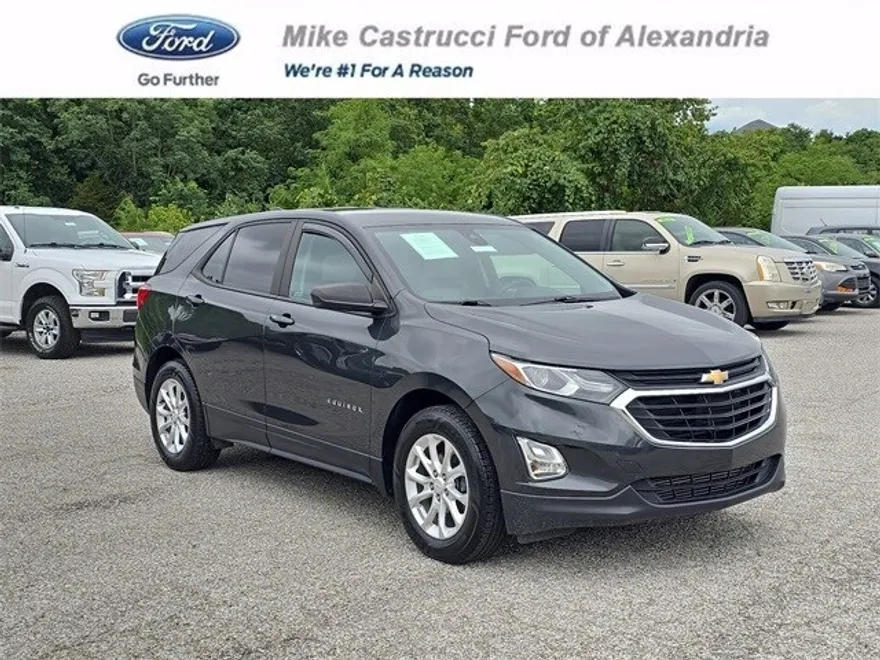 2020 Chevrolet Equinox LS photo 1