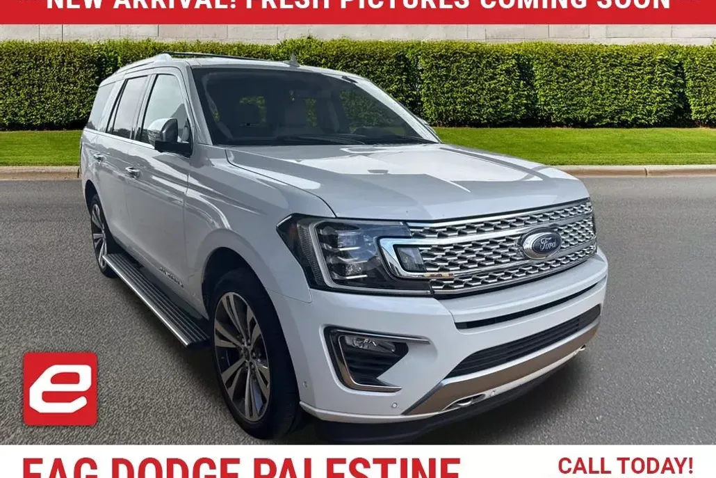 2020 Ford Expedition Platinum photo 1