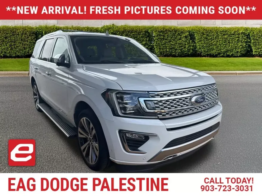 2020 Ford Expedition Platinum photo 1