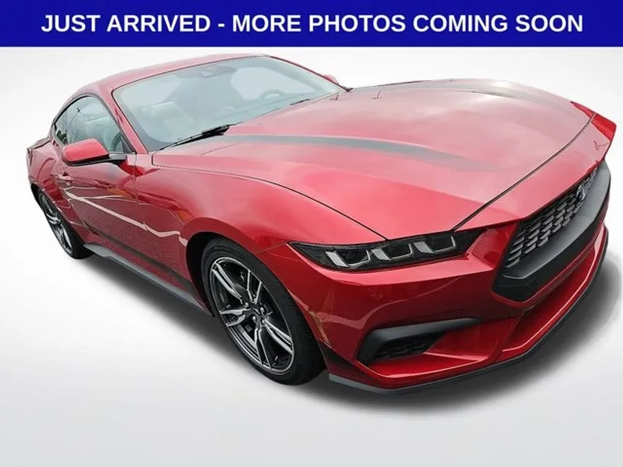 2024 Ford Mustang EcoBoost Premium photo 1