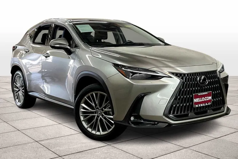 2025 Lexus NX Luxury photo 1