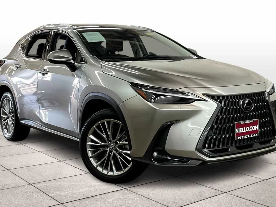 2025 Lexus NX Luxury photo 1