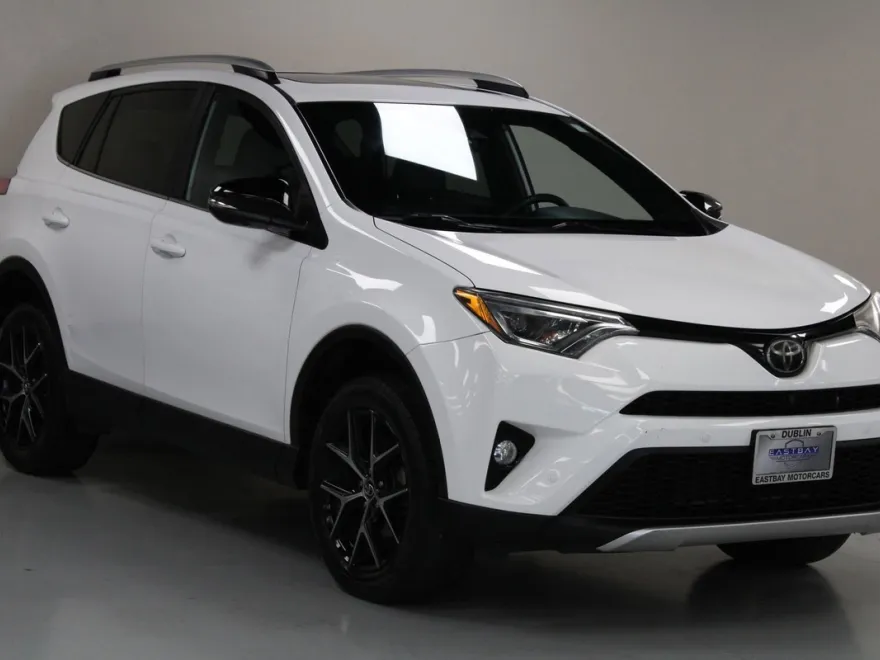 2016 Toyota RAV4 SE photo 1