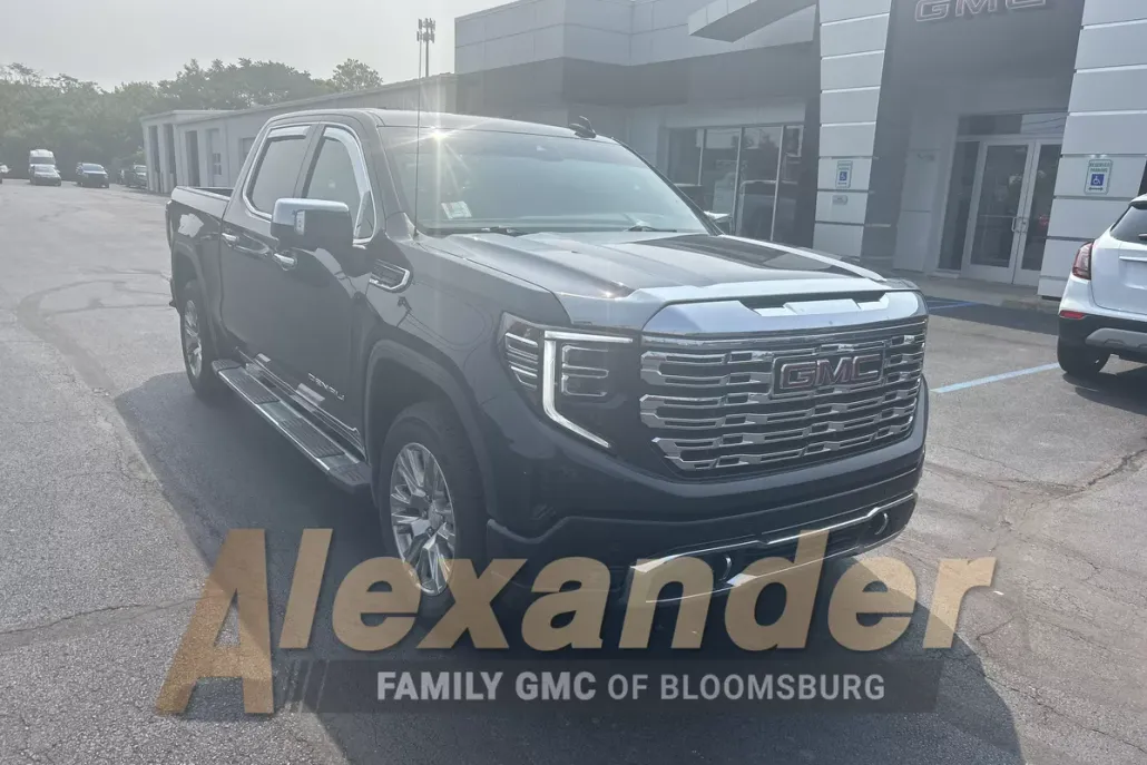 2023 Gmc Sierra 1500 Denali photo 1