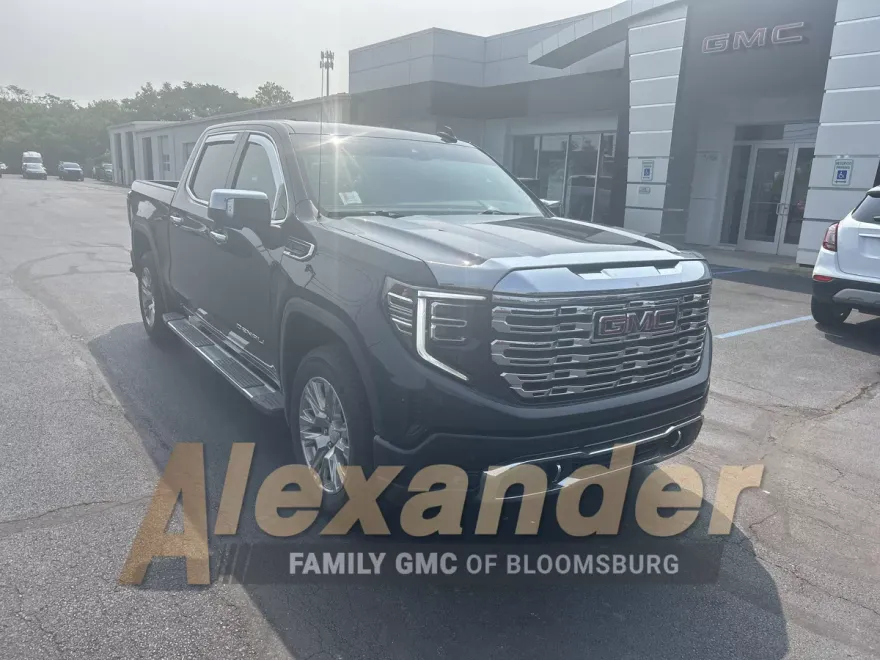 2023 Gmc Sierra 1500 Denali photo 1
