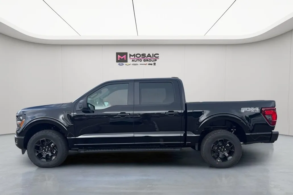 2025 Ford F-150 STX photo 1