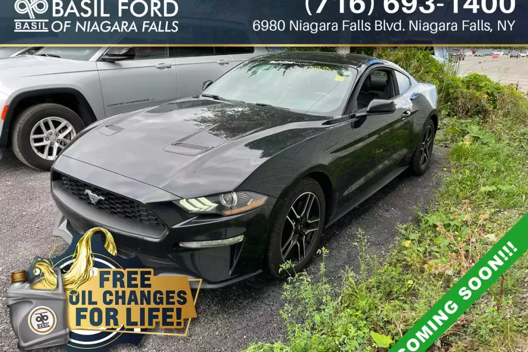 2018 Ford Mustang EcoBoost photo 1