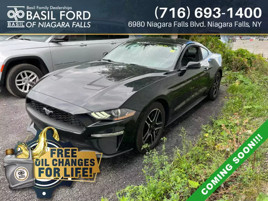 2018 Ford Mustang EcoBoost photo 1