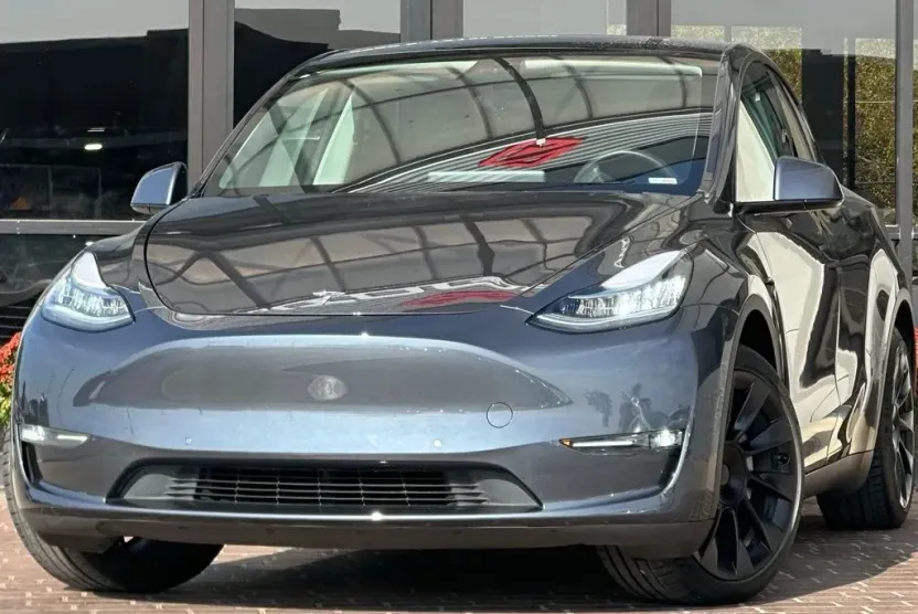 2020 Tesla Model Y Performance photo 1