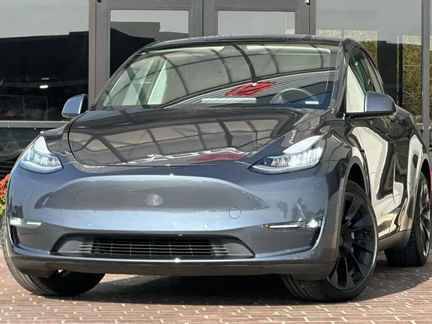 2020 Tesla Model Y Performance photo 1