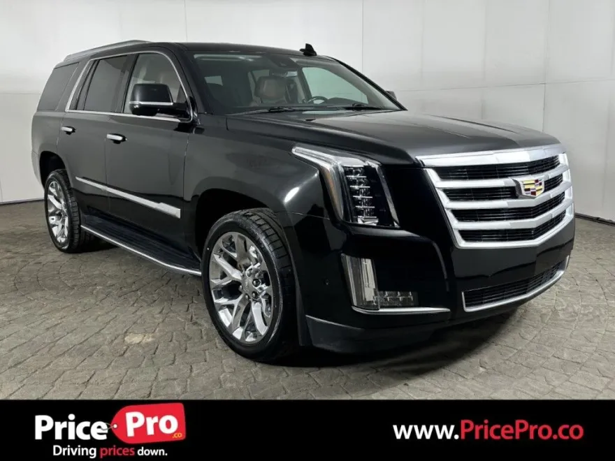 2020 Cadillac Escalade Luxury photo 1