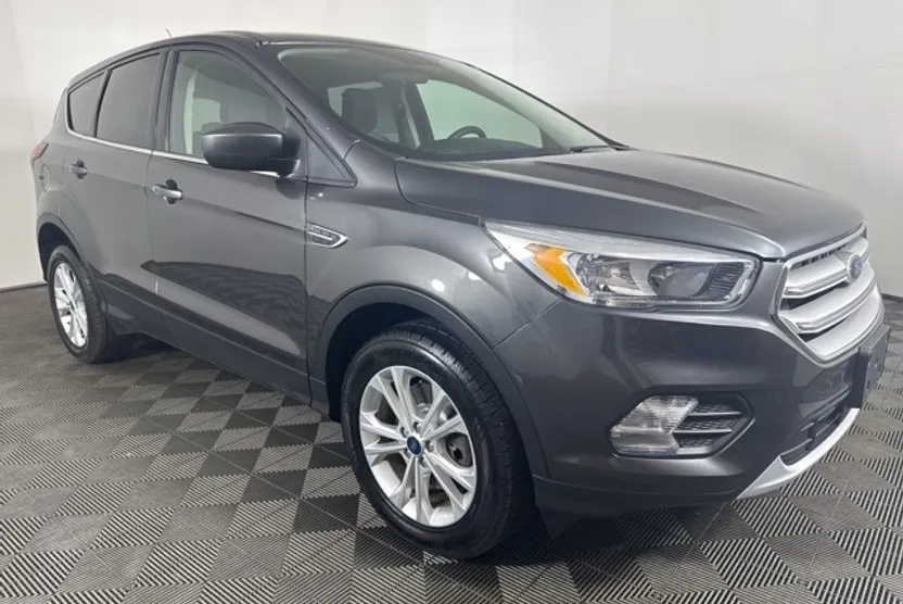 2019 Ford Escape SE photo 1
