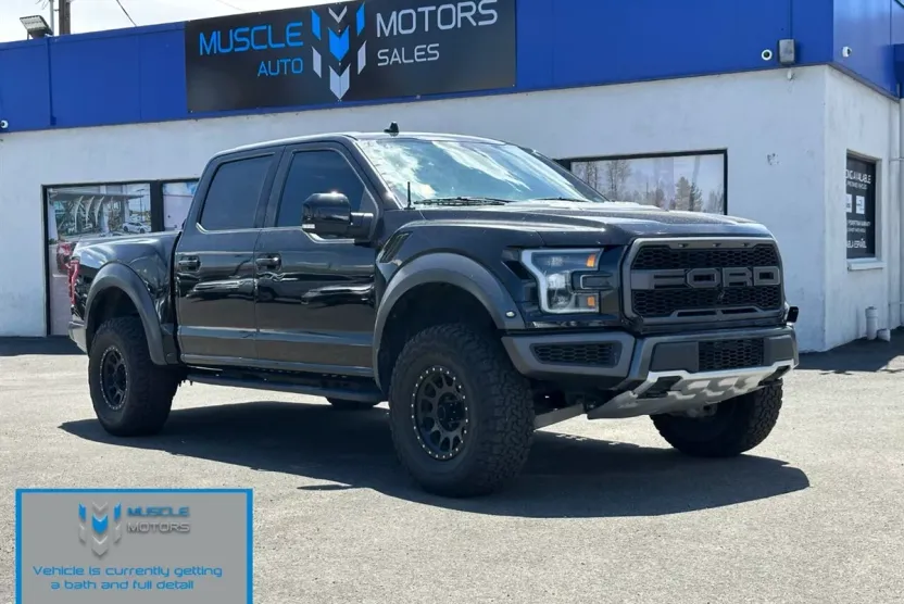 2019 Ford F-150 Raptor photo 1