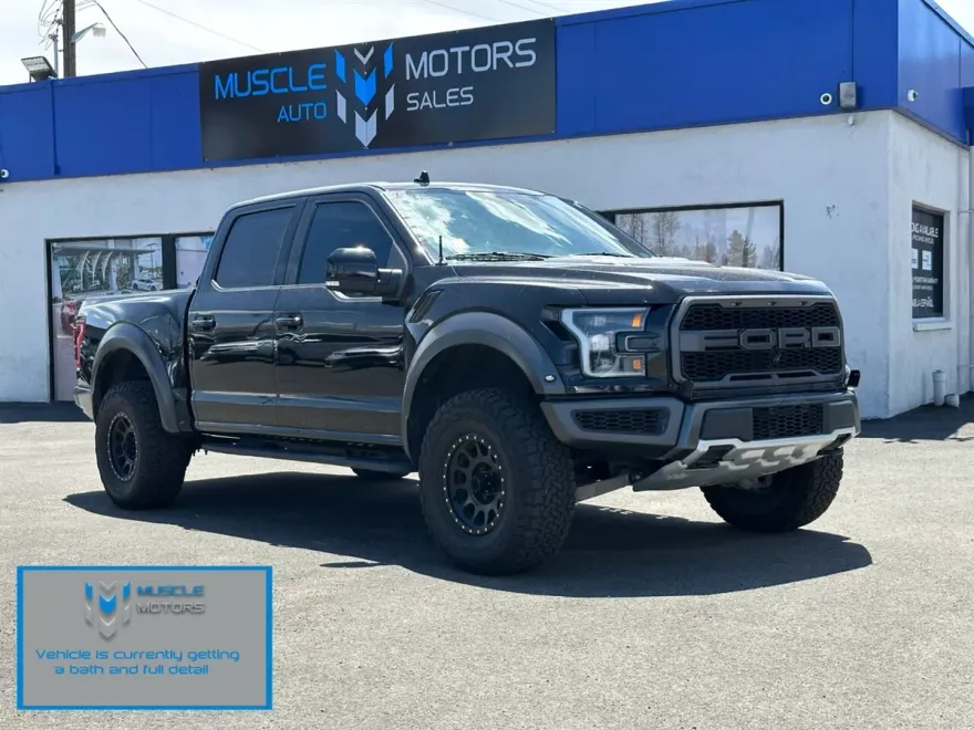2019 Ford F-150 Raptor photo 1