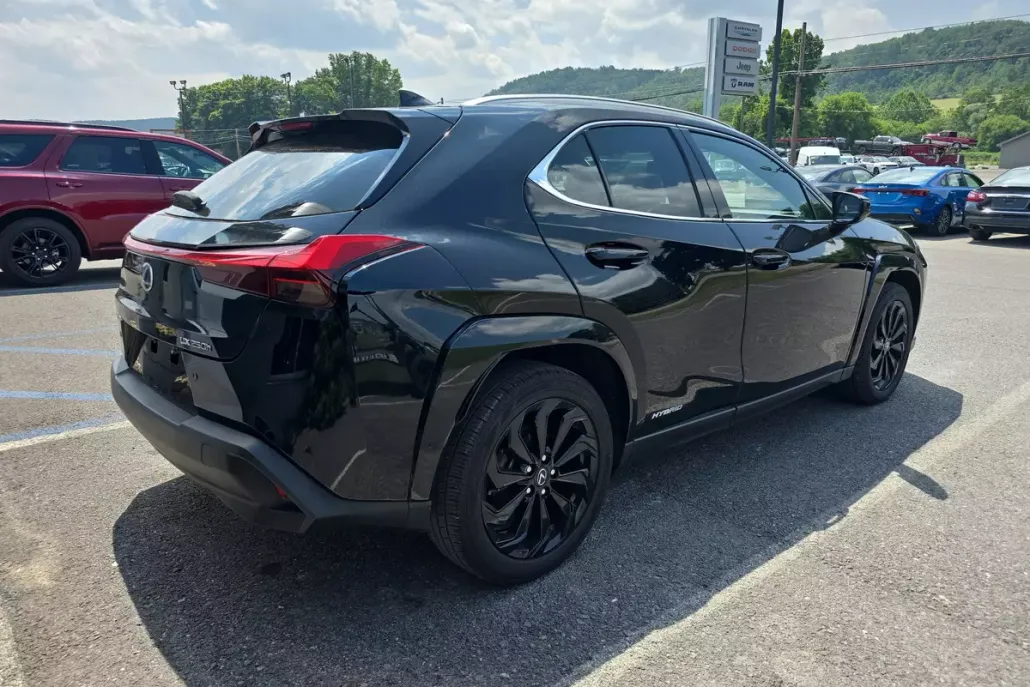 2022 Lexus UX 250h photo 1