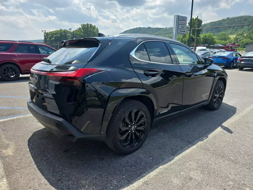 2022 Lexus UX 250h photo 1