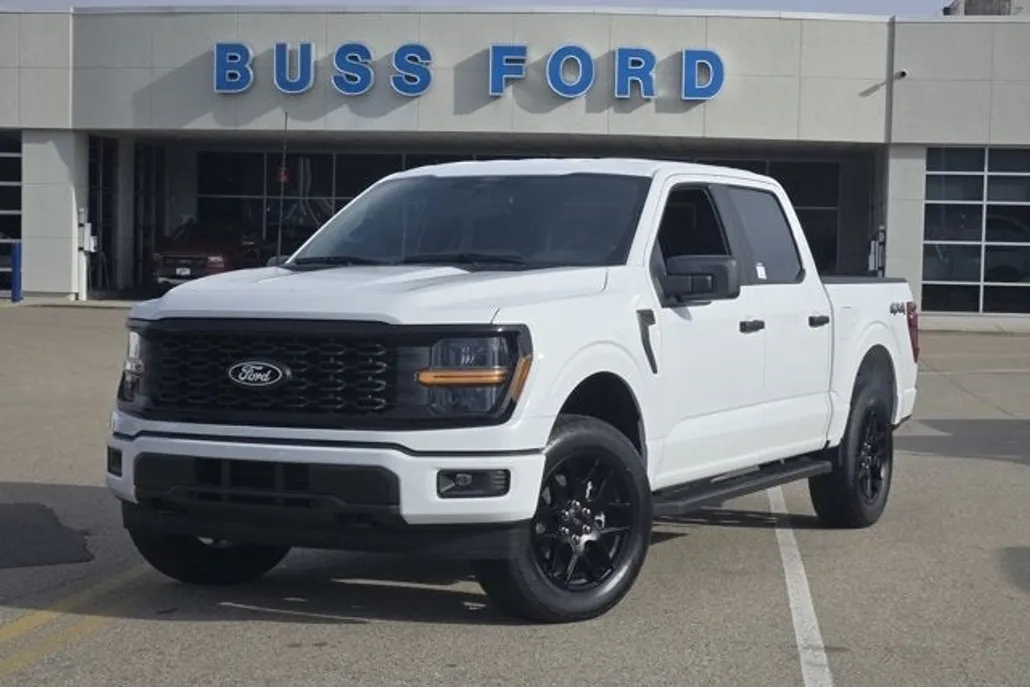 2025 Ford F-150 STX photo 1