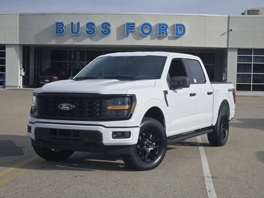 2025 Ford F-150 STX photo 1