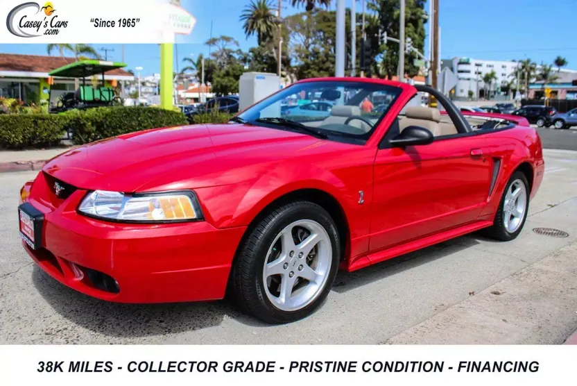 1999 Ford Mustang Cobra Convertible photo 1