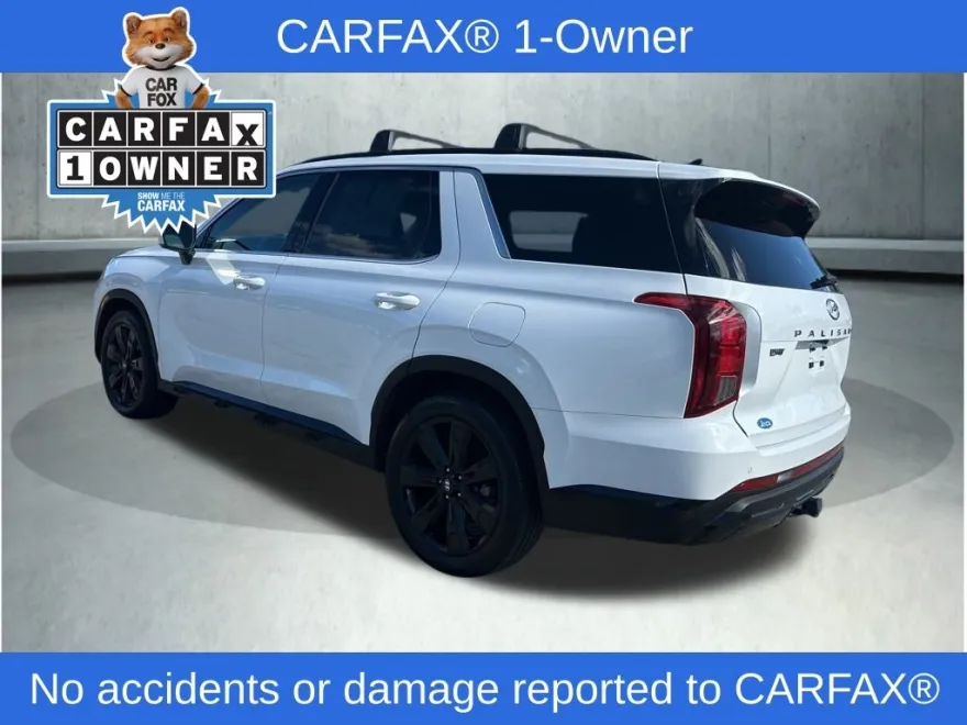 2024 Hyundai Palisade XRT photo 1