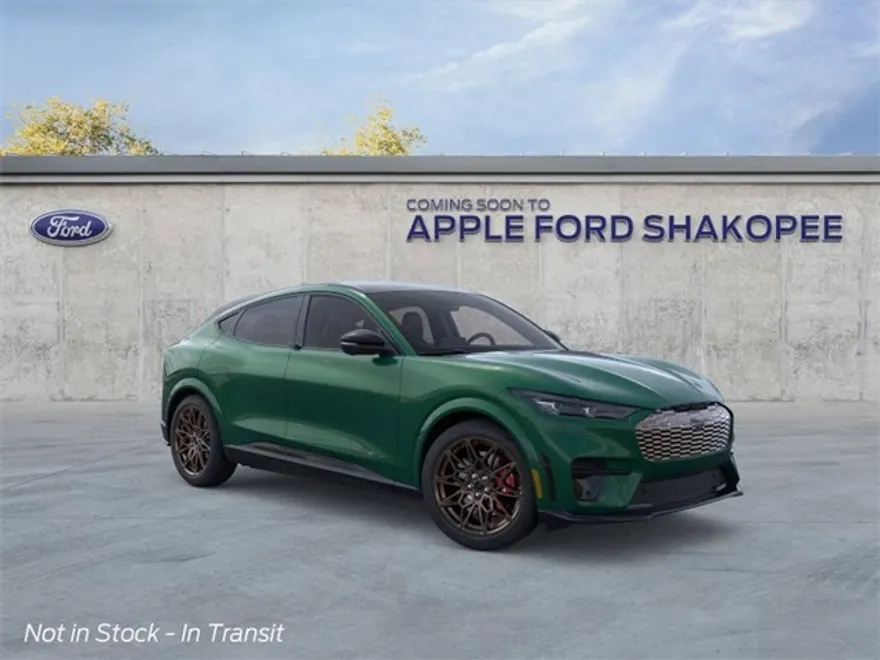 2025 Ford Mustang Mach-E GT photo 1