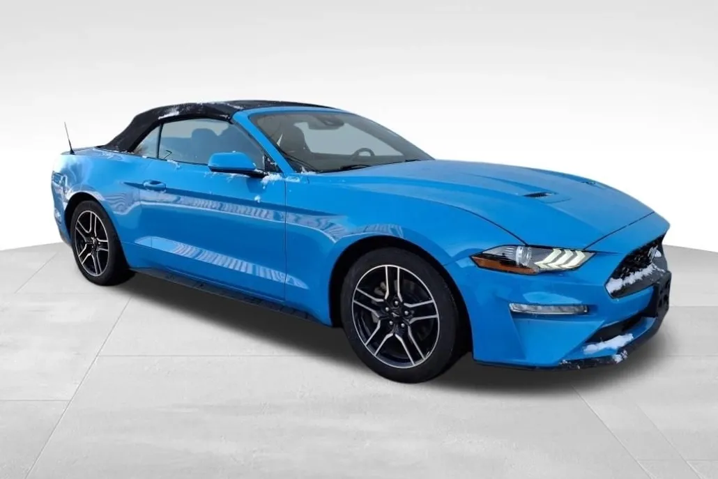2022 Ford Mustang EcoBoost Premium photo 1