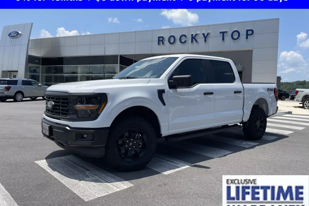 2025 Ford F-150 STX photo 1