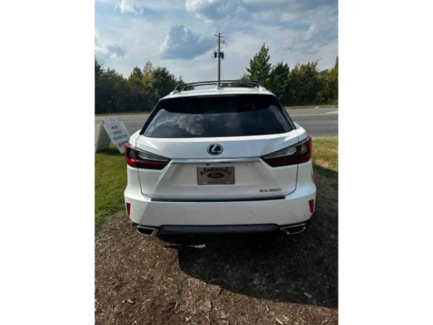 2018 Lexus RX 350 photo 1