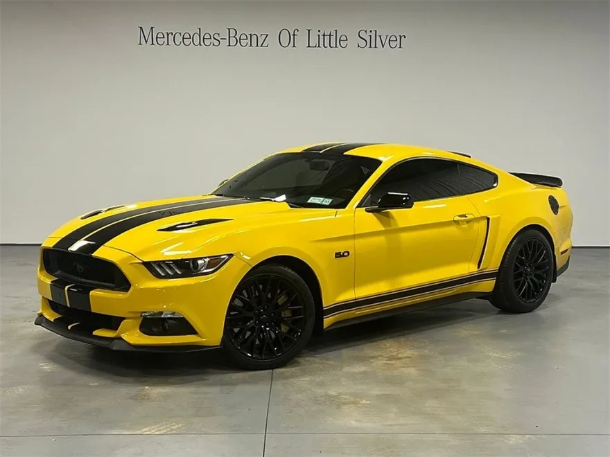2015 Ford Mustang GT photo 1