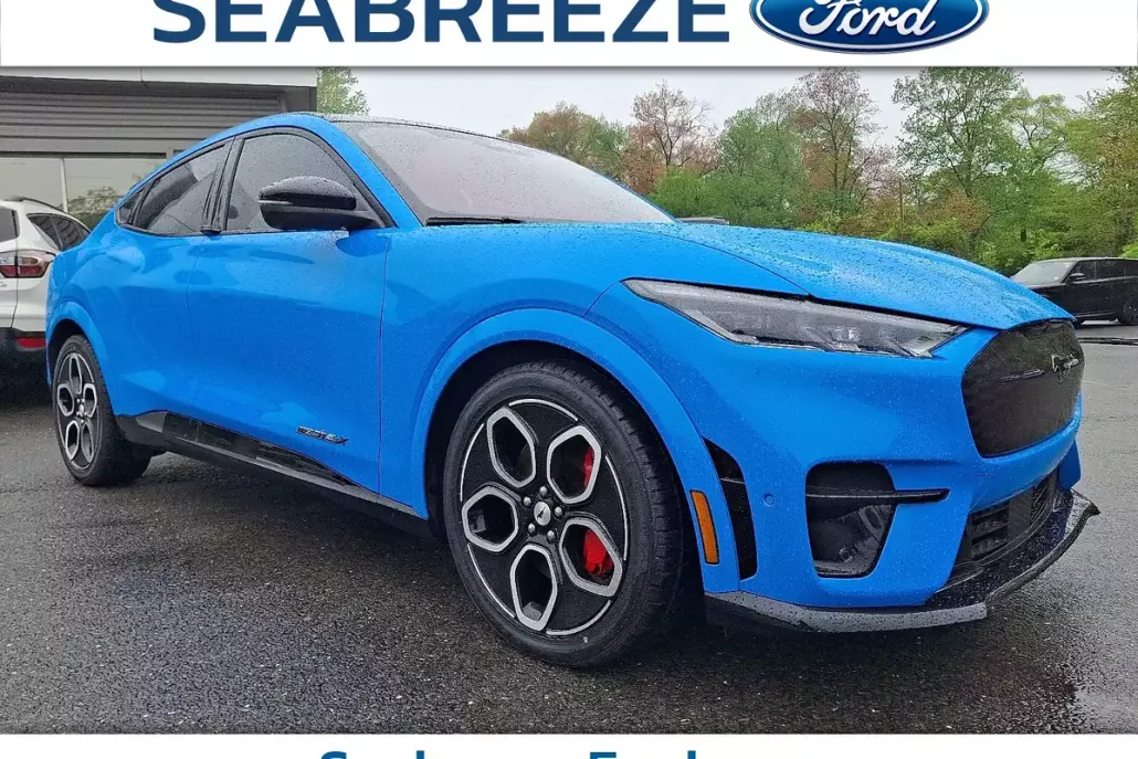 2022 Ford Mustang Mach-E GT photo 1