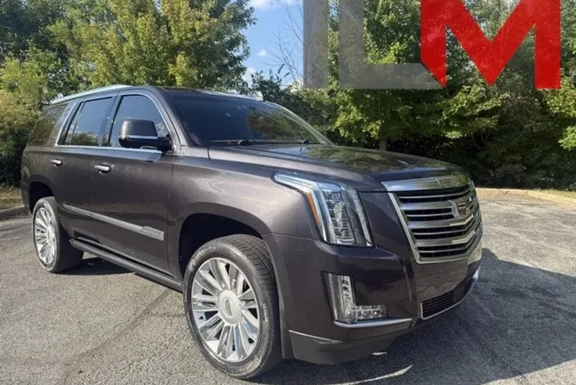 2015 Cadillac Escalade Platinum photo 1