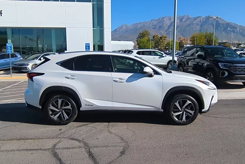 2021 Lexus NX 300h photo 1