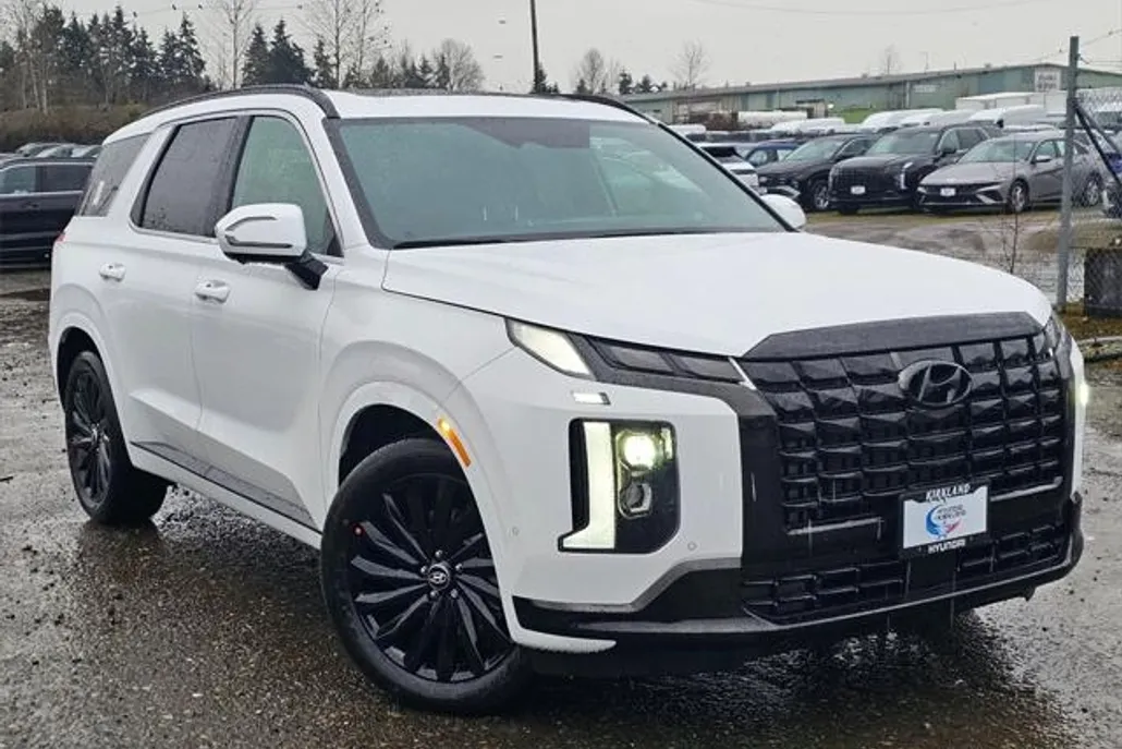 2025 Hyundai Palisade Calligraphy photo 1