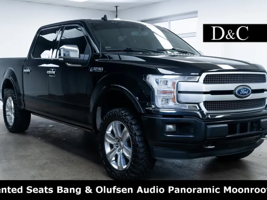2019 Ford F-150 Platinum photo 1