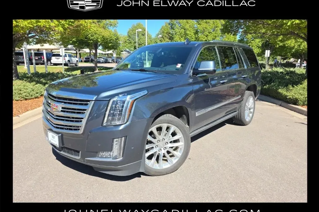 2019 Cadillac Escalade Platinum photo 1