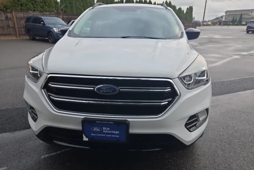 2019 Ford Escape SE photo 1