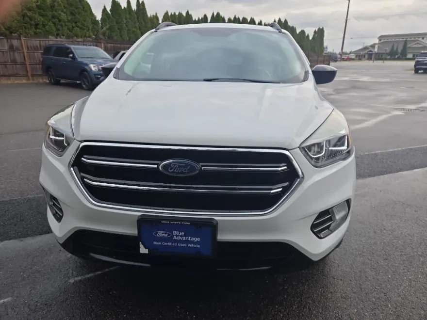 2019 Ford Escape SE photo 1